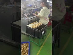 custom 3d plastic pvc vinyl design toy custom art toy manufacturer