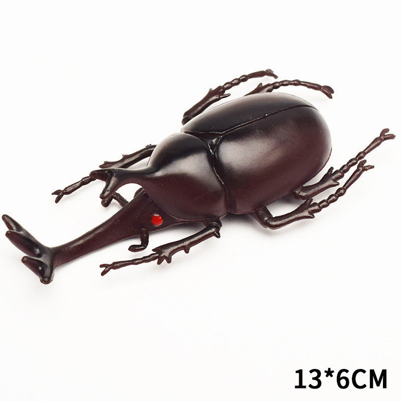 OEM factory custom Lifelike Model Simulation Insect Toy Nursery Teaching Aids Joke Toys