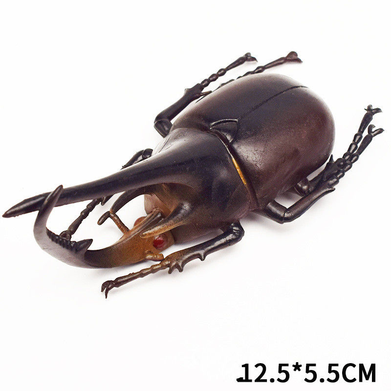 OEM factory custom Lifelike Model Simulation Insect Toy Nursery Teaching Aids Joke Toys