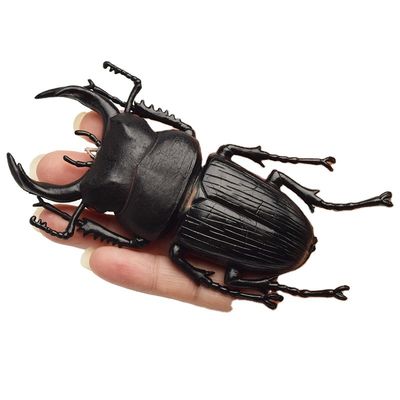 OEM factory custom Lifelike Model Simulation Insect Toy Nursery Teaching Aids Joke Toys